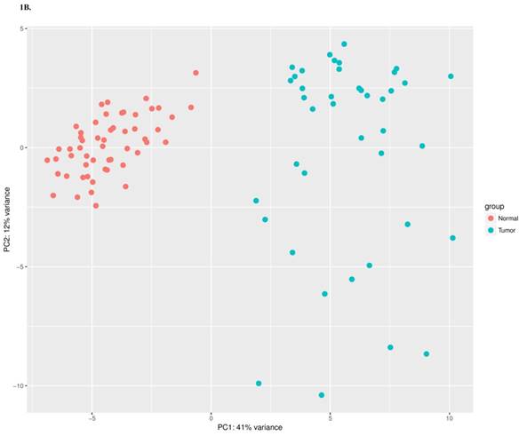 J Genomics Image