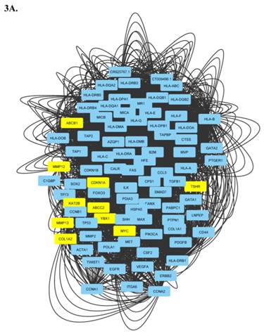 J Genomics Image