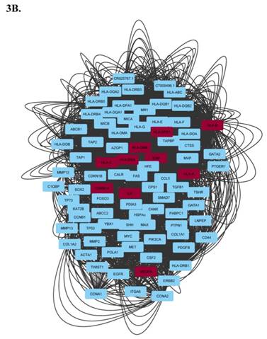 J Genomics Image