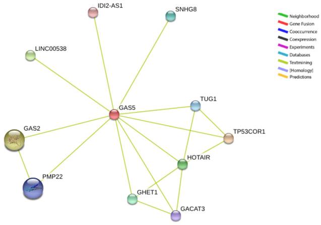 J Genomics Image