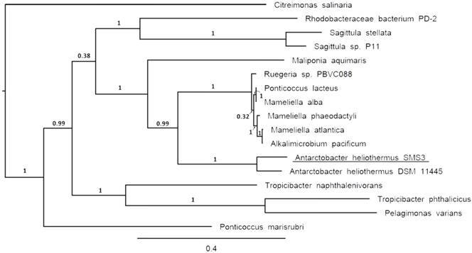 J Genomics Image