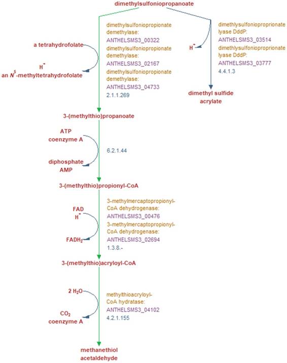 J Genomics Image