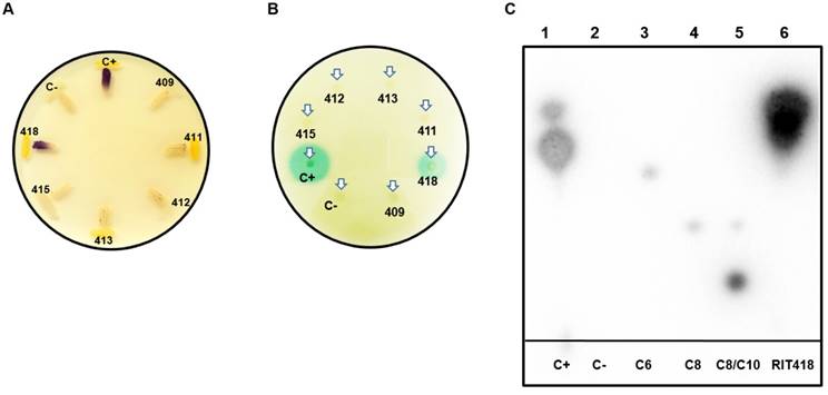 J Genomics Image