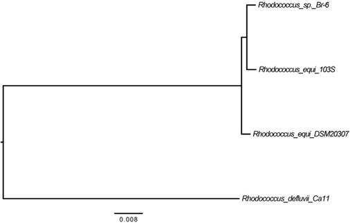 J Genomics Image