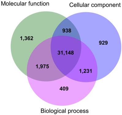 J Genomics Image