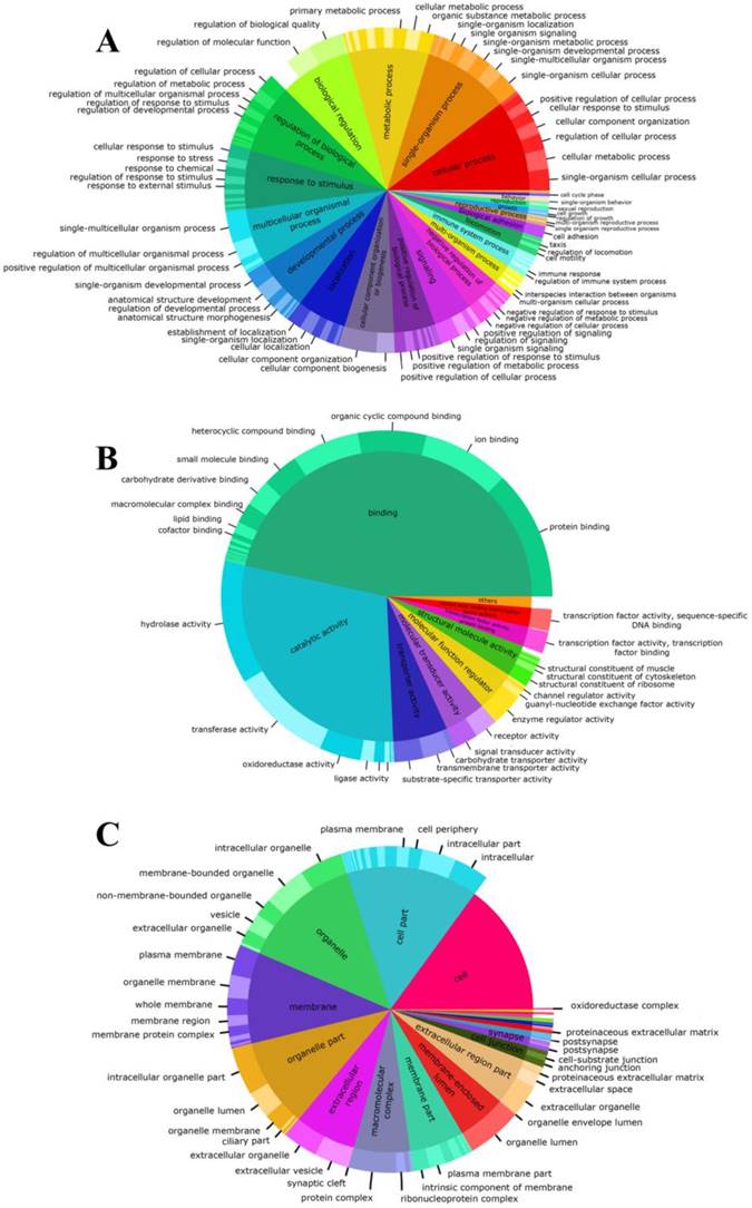 J Genomics Image