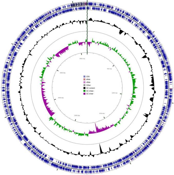 J Genomics Image