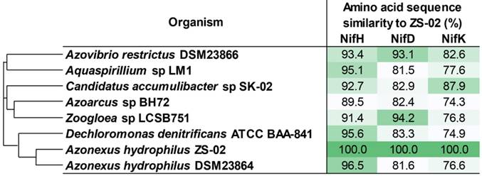 J Genomics Image