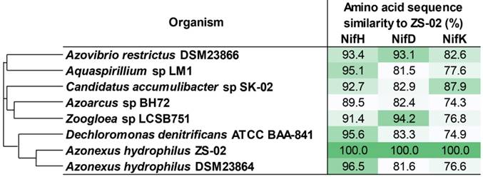 J Genomics Image