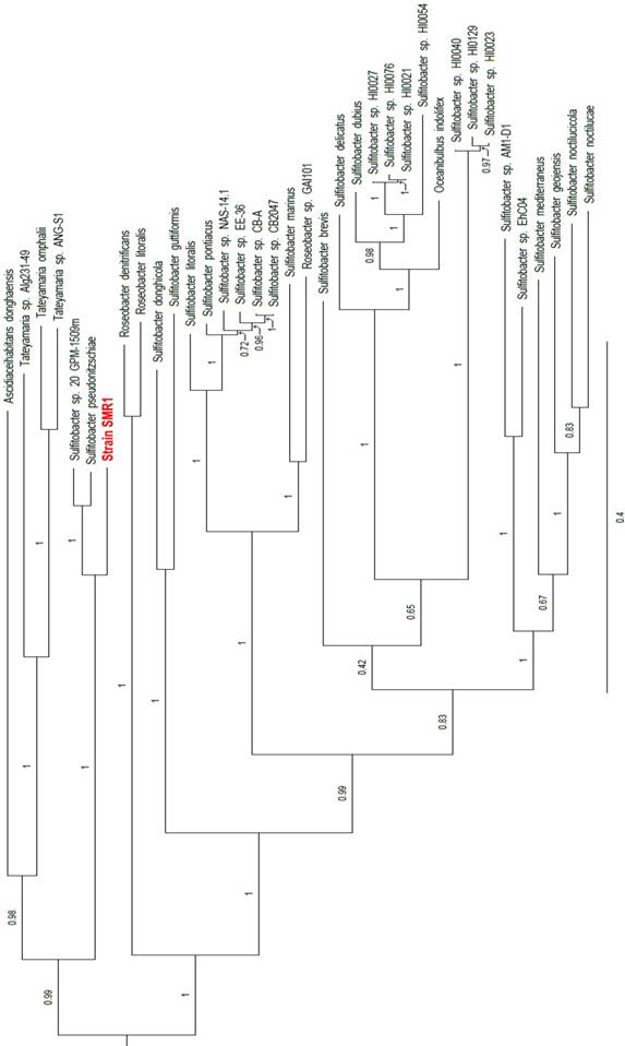 J Genomics Image