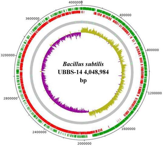 J Genomics Image