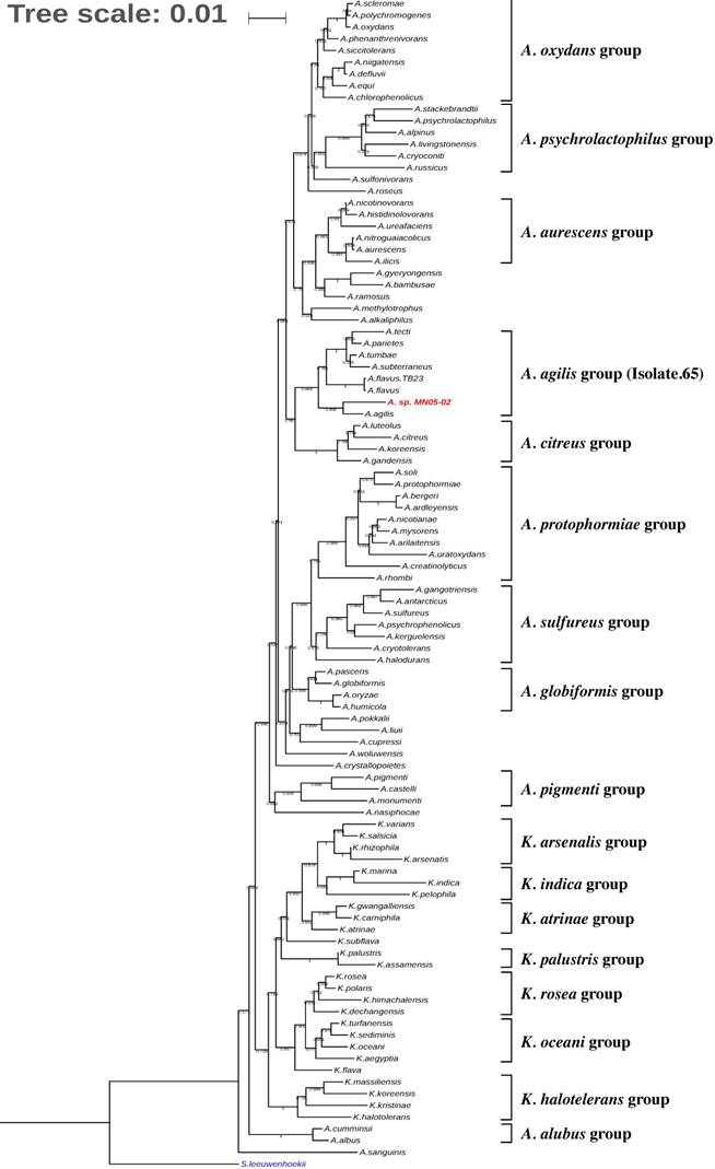 J Genomics Image