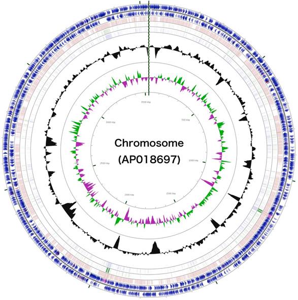 J Genomics Image