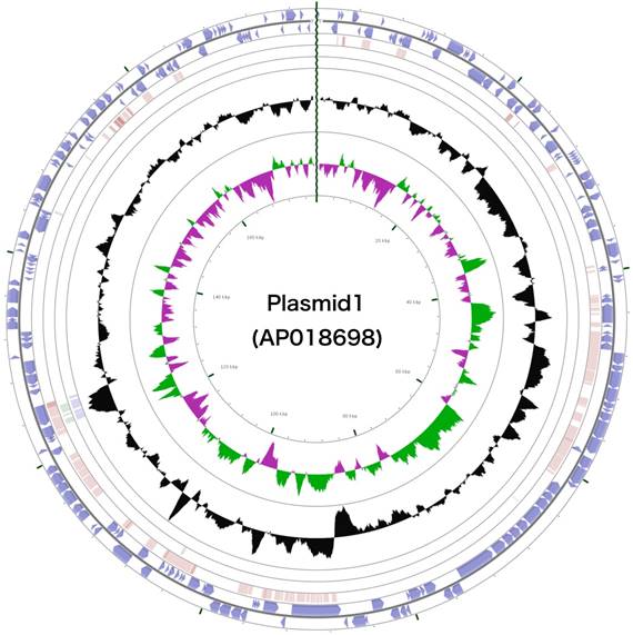 J Genomics Image