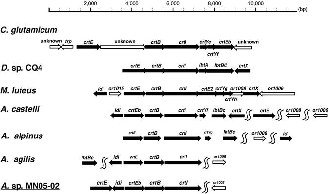 J Genomics Image