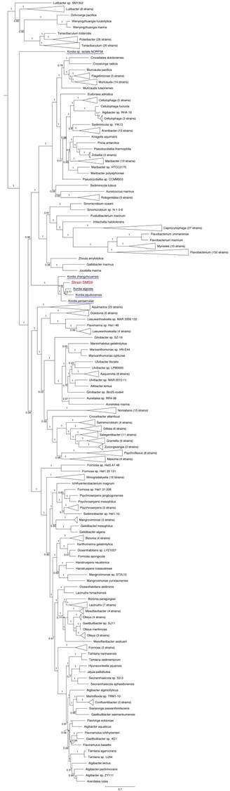 J Genomics Image