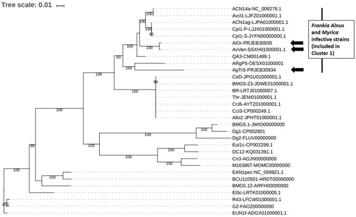 J Genomics Image