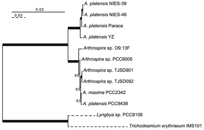 J Genomics Image