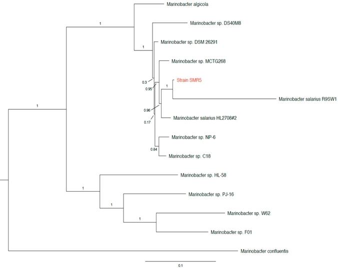 J Genomics Image