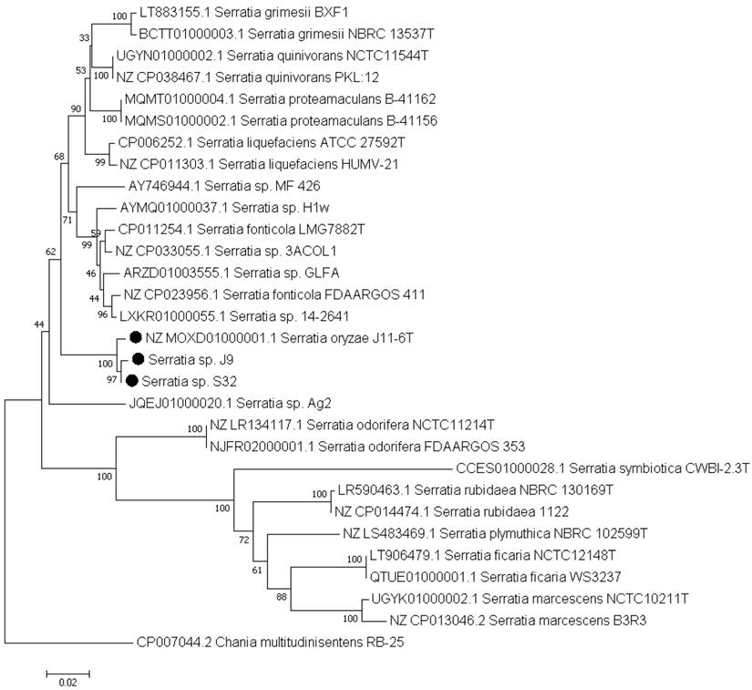 J Genomics Image