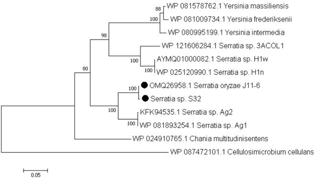 J Genomics Image