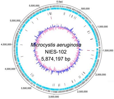 J Genomics Image