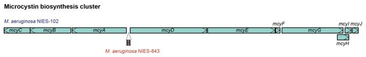 J Genomics Image