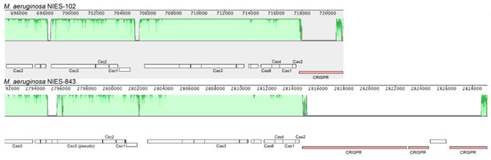 J Genomics Image