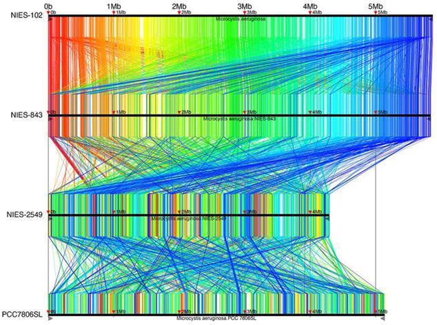 J Genomics Image