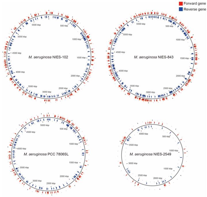 J Genomics Image