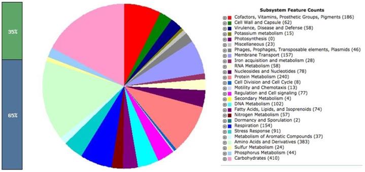 J Genomics Image