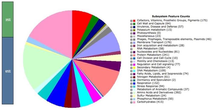 J Genomics Image