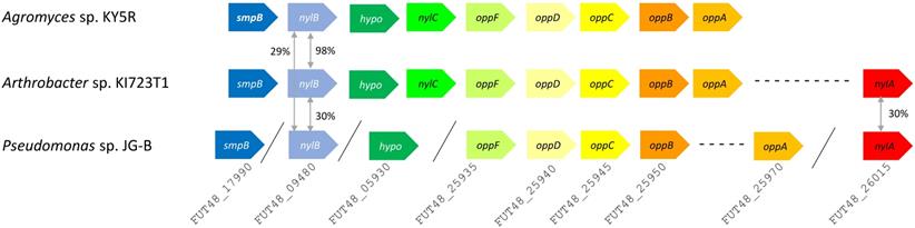 J Genomics Image