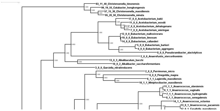 J Genomics Image