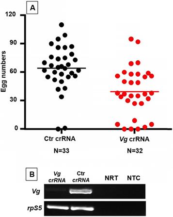 J Genomics Image