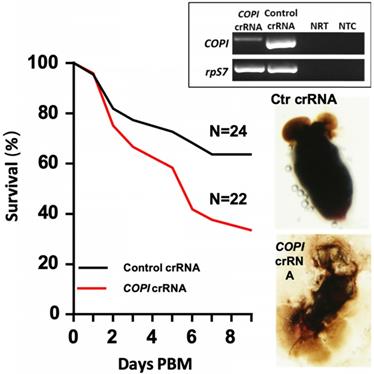 J Genomics Image