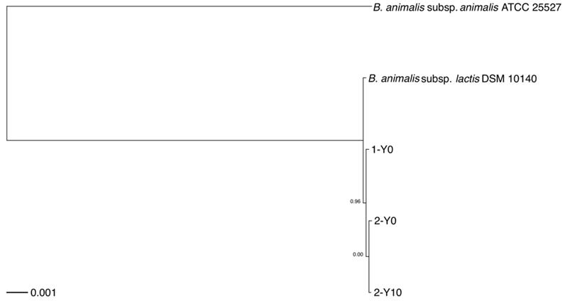 J Genomics Image