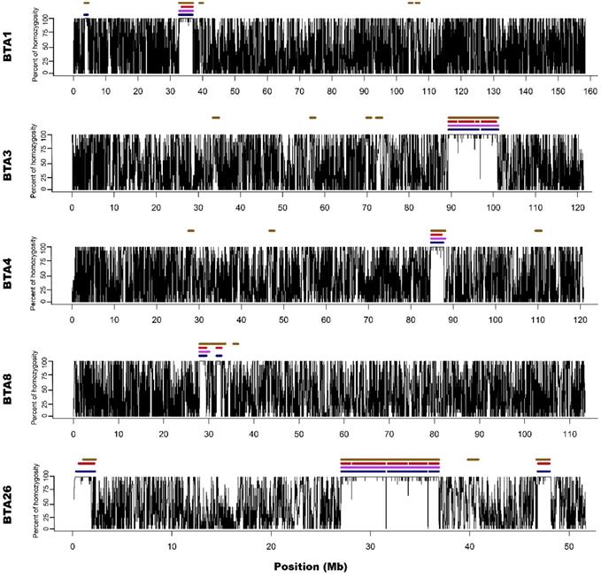 J Genomics Image