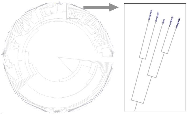 J Genomics Image