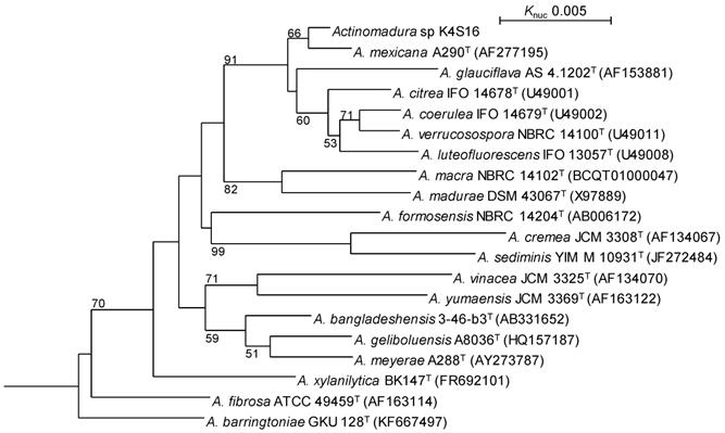 J Genomics Image