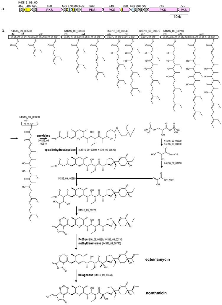 J Genomics Image