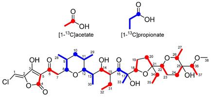 J Genomics Image