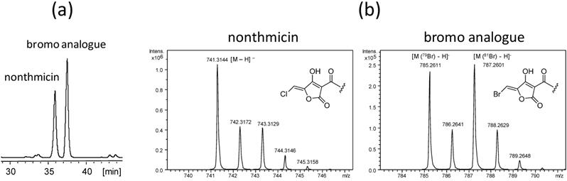 J Genomics Image