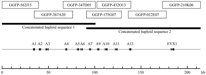 J Genomics Image