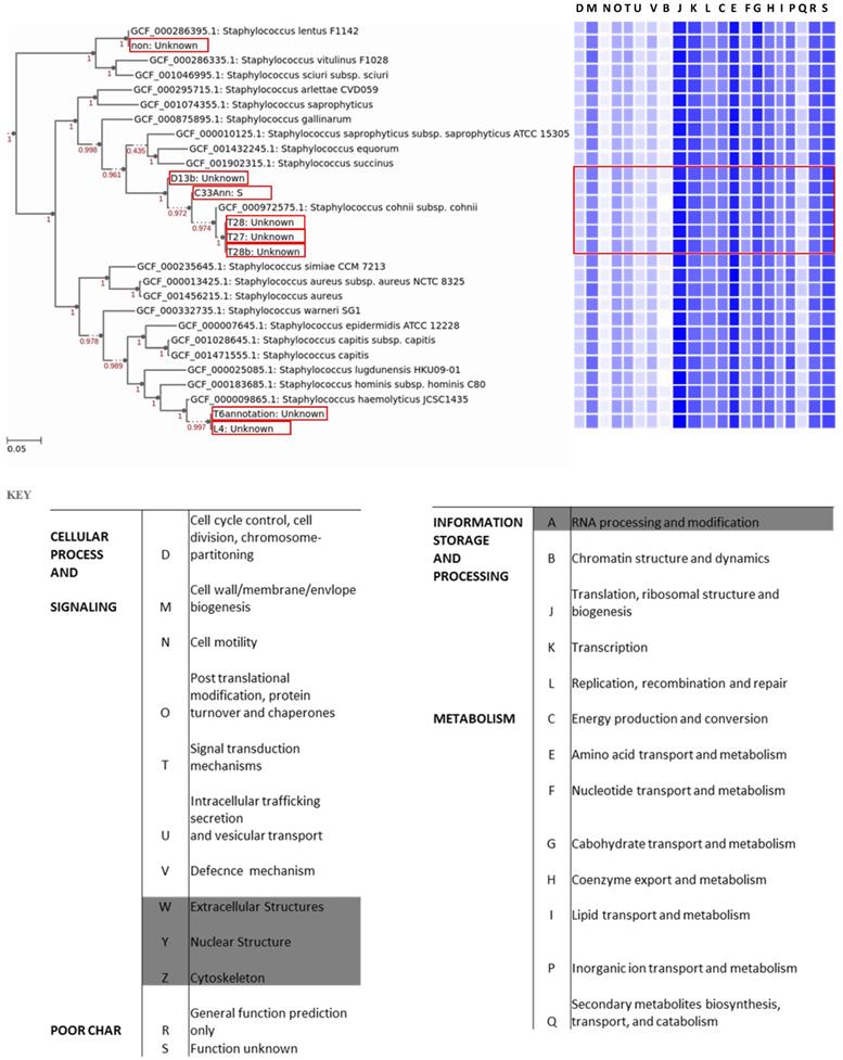 J Genomics Image