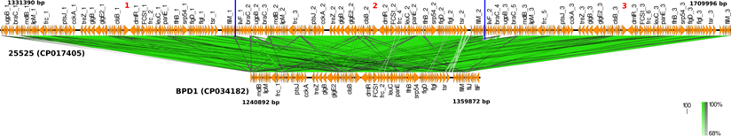 J Genomics Image