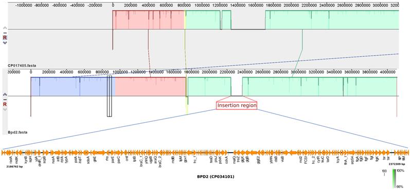 J Genomics Image