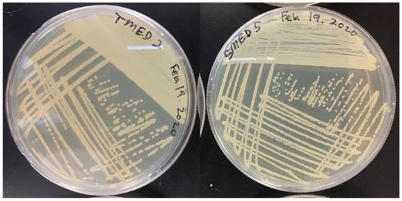 J Genomics Image