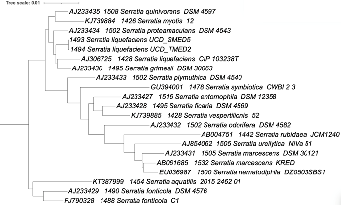 J Genomics Image