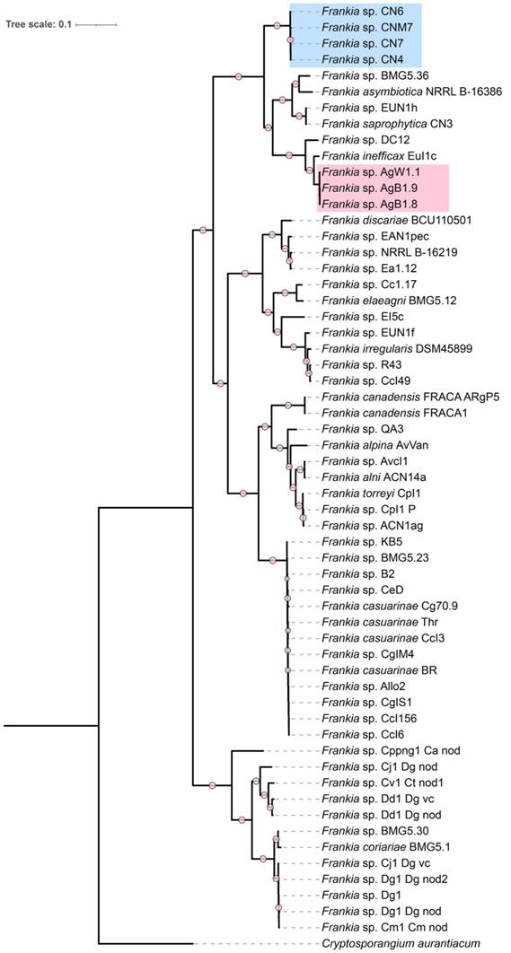 J Genomics Image